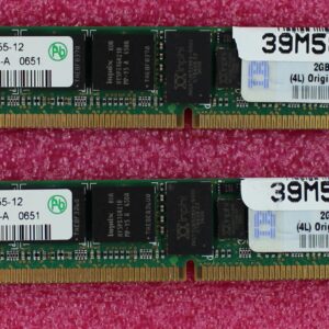 IBM 4GB (2X2GB)  PC2-5300P 2Rx4 ECC DDR2